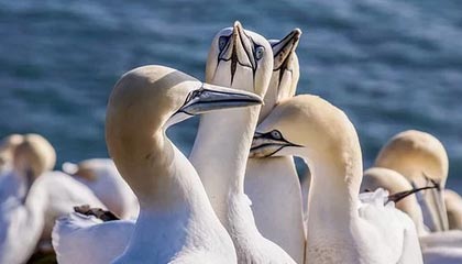 舟山最新公积金卡提取现金方法app方法分析(最方便真实的舟山公积金卡怎样从手机里取出来?方法)