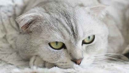 舟山最新公积金卡提取现金操作及规定方法分析(最方便真实的舟山公积金卡提取现金操作及规定是什么方法)