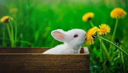 舟山最新怎么提现公积金卡里的钱方法分析(最方便真实的舟山怎么将公积金提现方法)